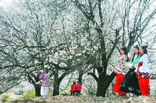 玩球直播app界面预览